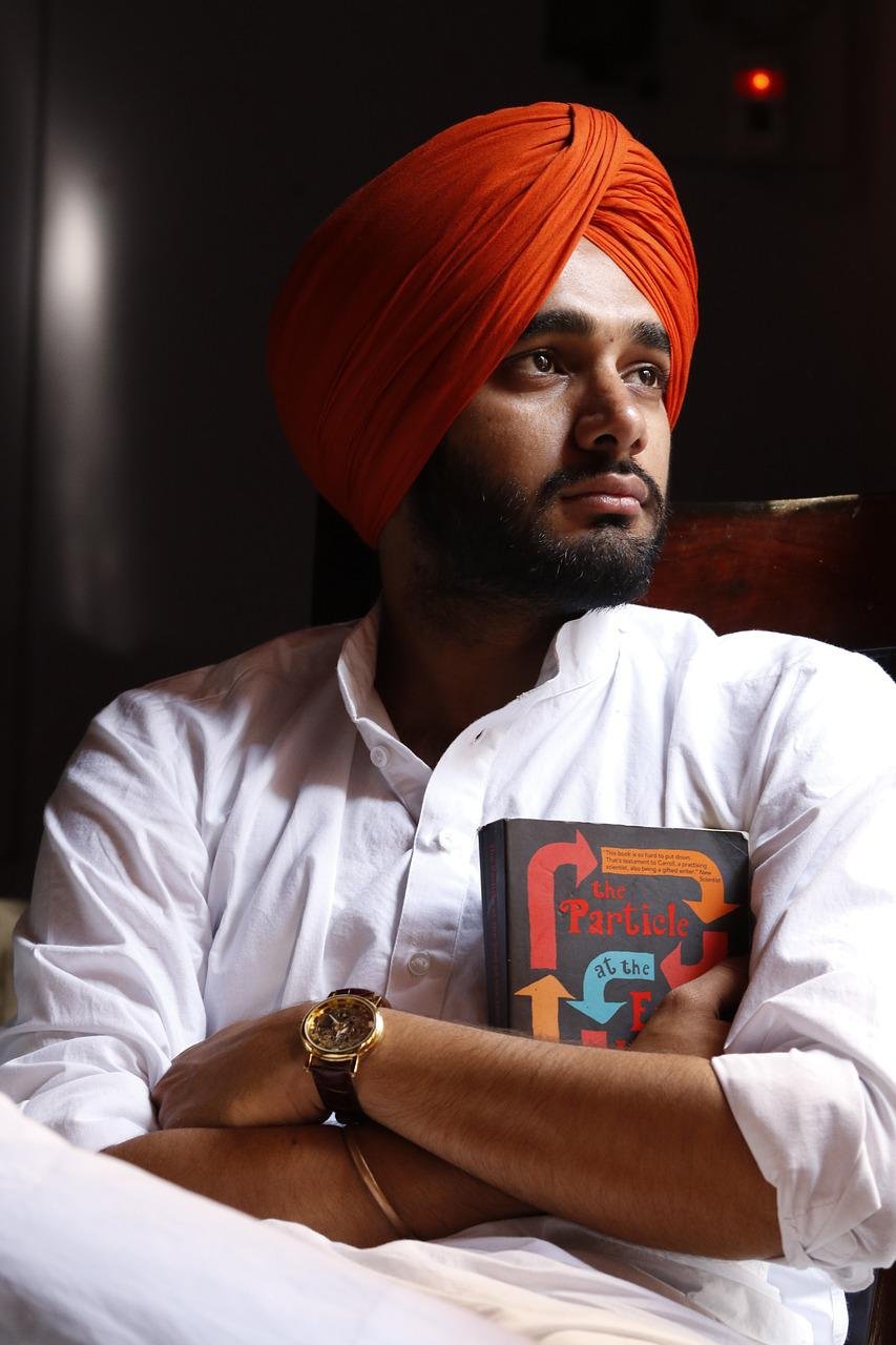 sardar, sardarji, turban-2398123.jpg